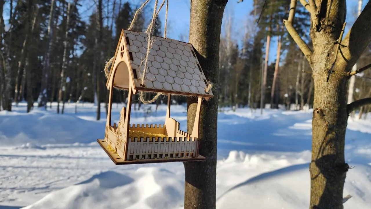 REGIONS/Екатерина Мелкозерова