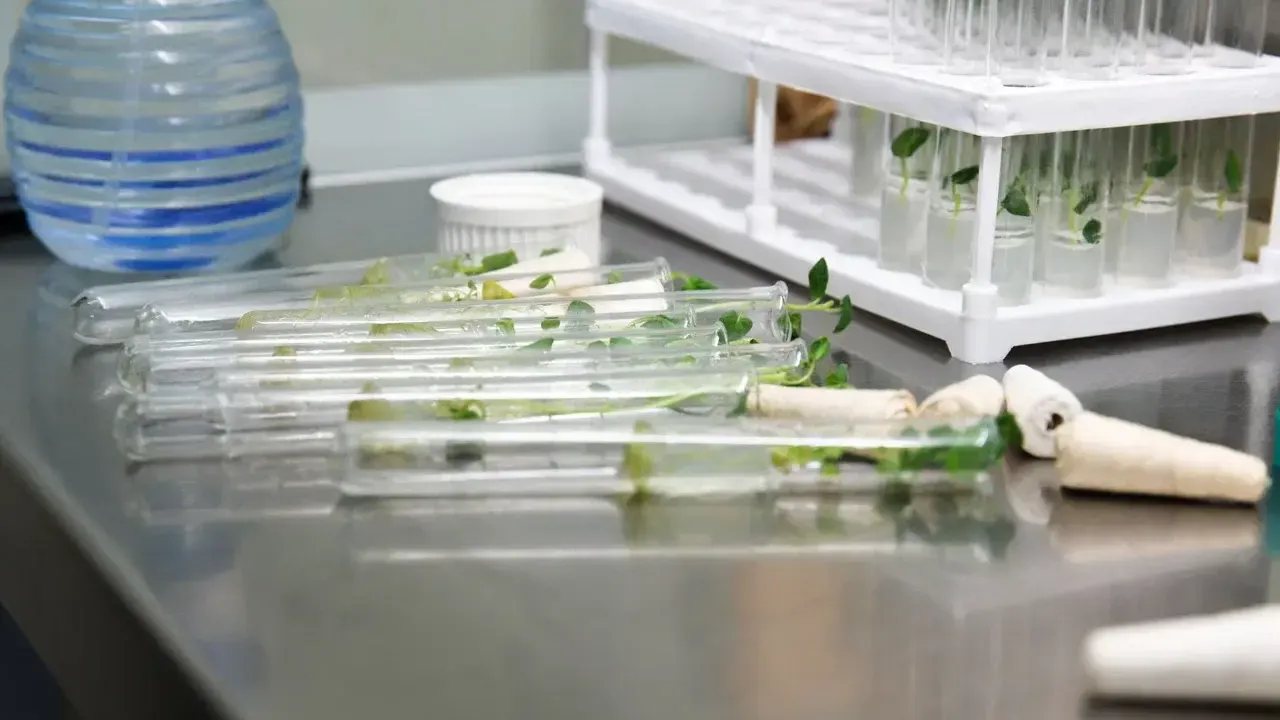 Министерство сельского хозяйства и продовольствия Московской области