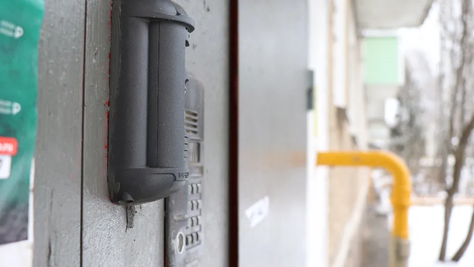 Фото: REGIONS/Василий Тремасов