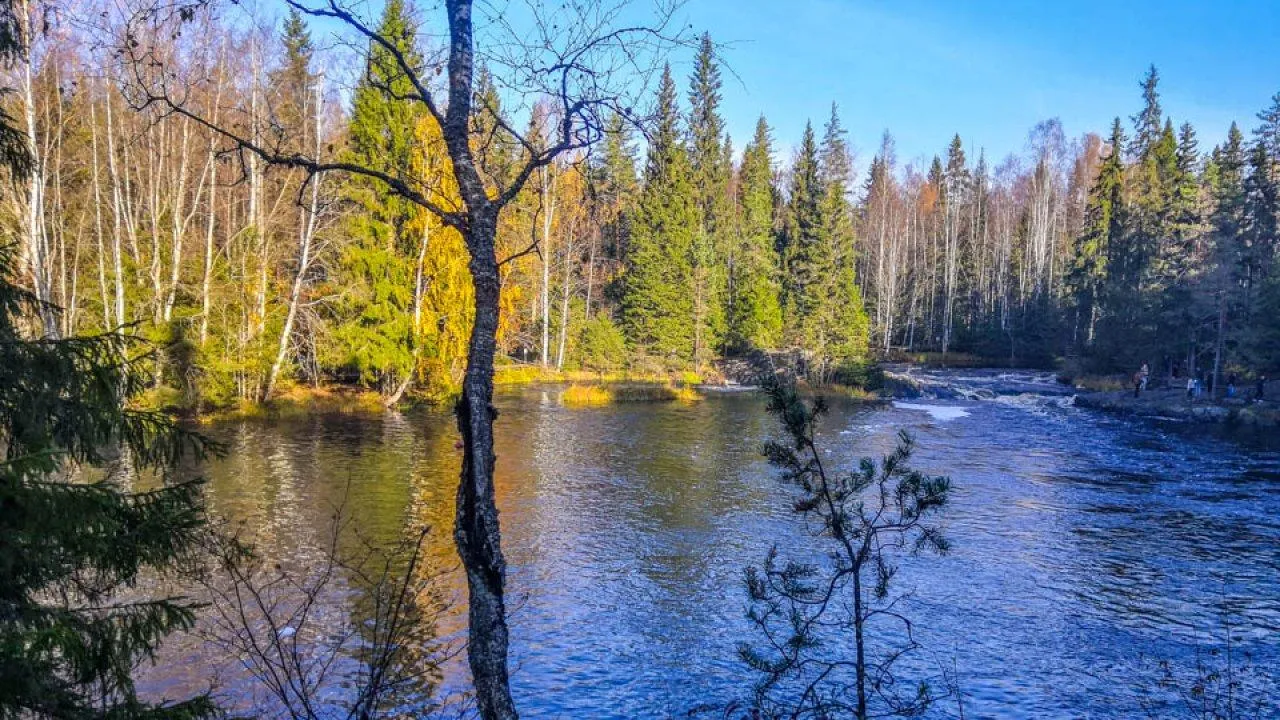 Стабильность с нюансами: как меняется уровень воды в реках Оренбургской области