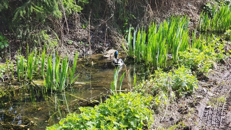 Фото: Елена Шумакова