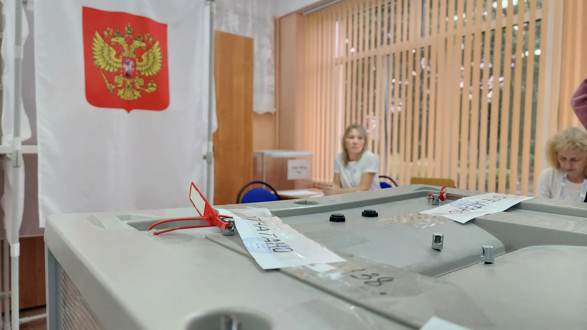 Светлана Плотникова