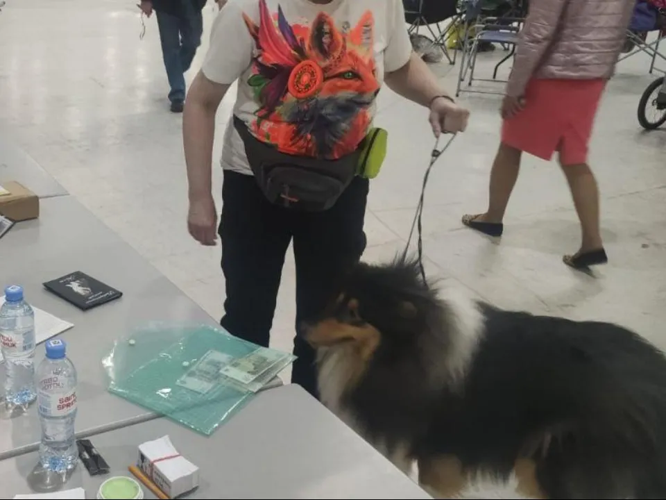 Фото: Министерство сельского хозяйства и продовольствия Московской области