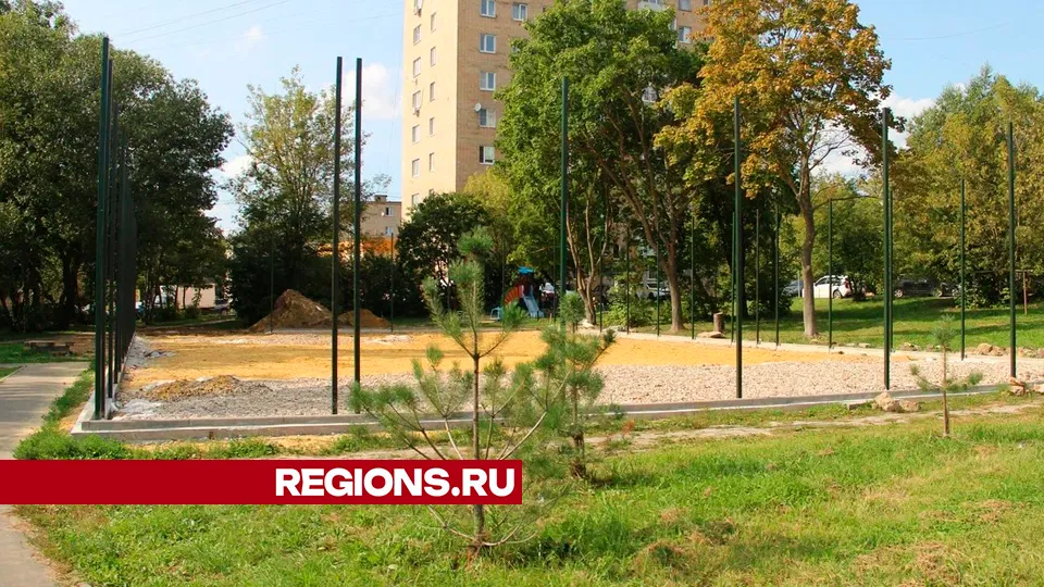 Фото: REGIONS/Василий Тремасов