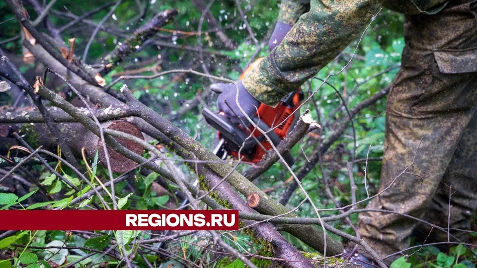 Фото: REGIONS/Наталия Надточая