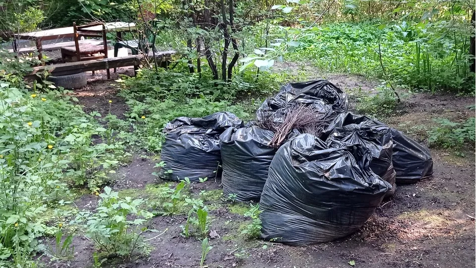 Фото: REGIONS/Владимир Острогожский