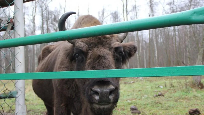 Министерство культуры Московской области