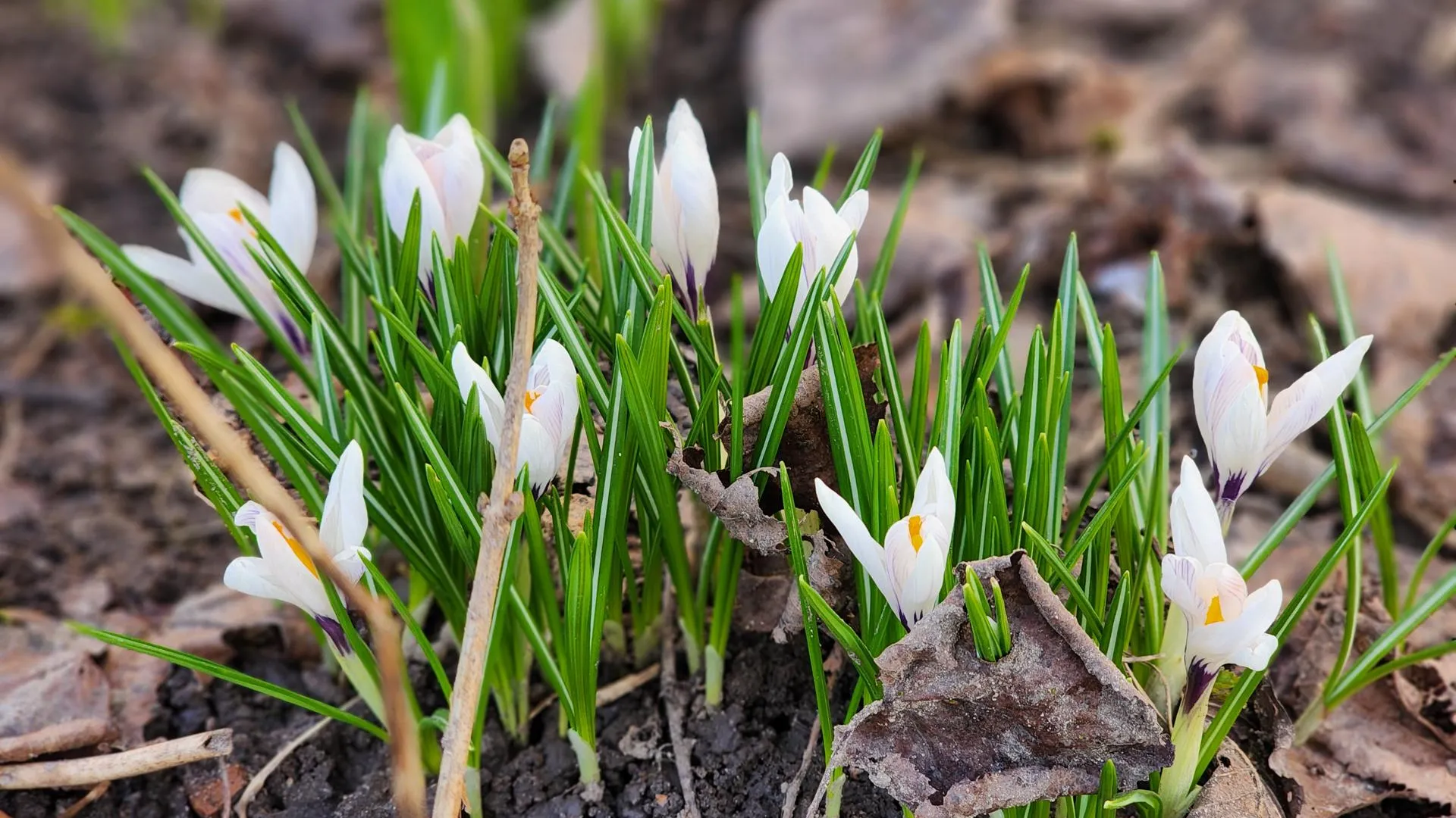 REGIONS/Екатерина Мелкозерова