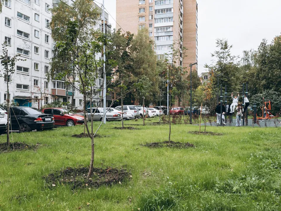 Фото: пресс-служба администрации г.о. Щелково