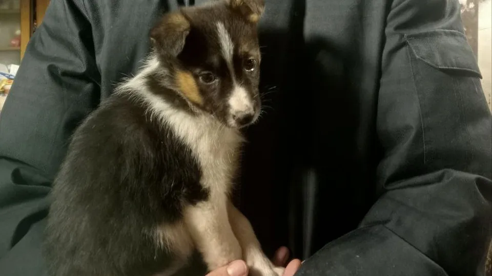 Фото: личный архив Натальи Марковой