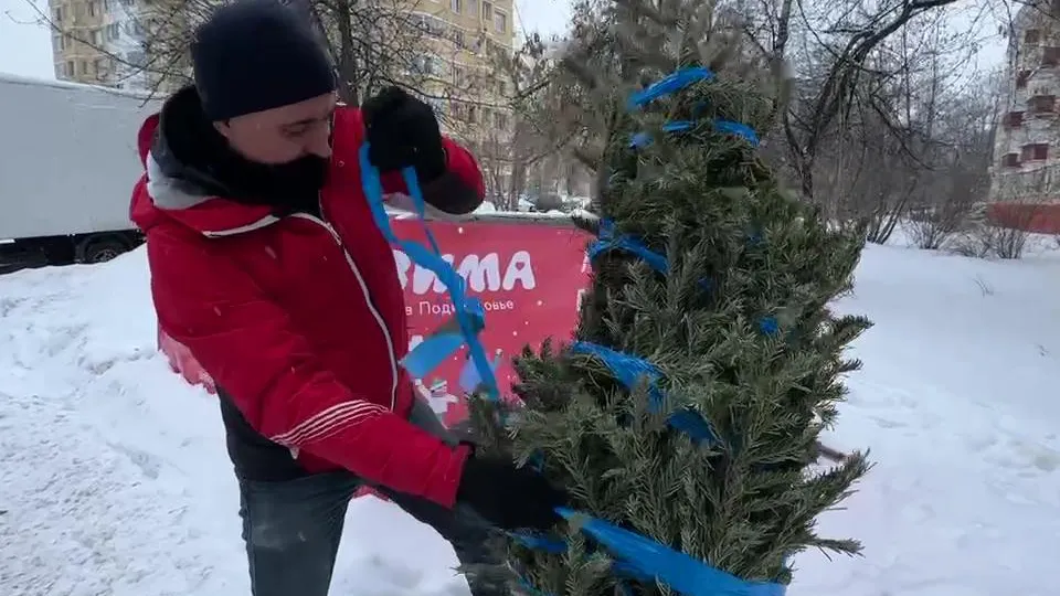 Фото: МедиаБанк Подмосковья/Ксения Казакова
