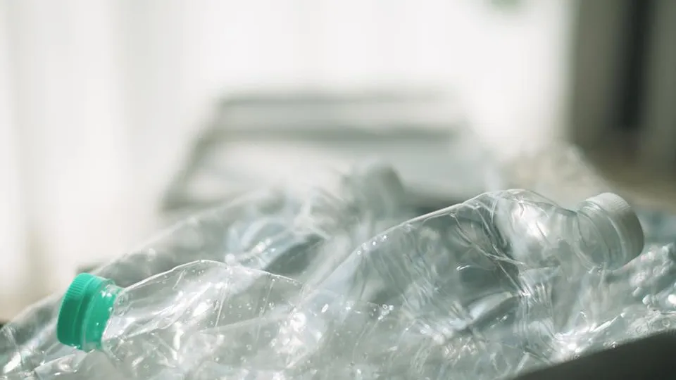 Фото: istockphoto.com/pocketlight