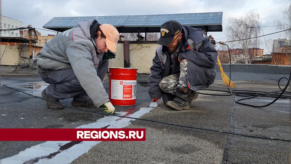 Фото: Андрей Алекин