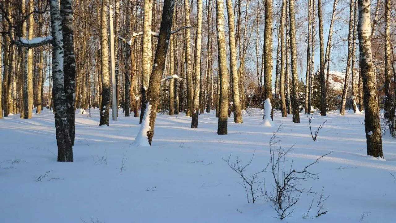 пресс-служба администрации г.о. Ступино