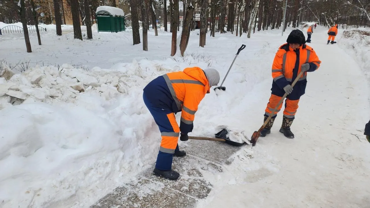 REGIONS/Анна Мороз