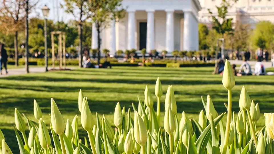 Фото: freepik.com