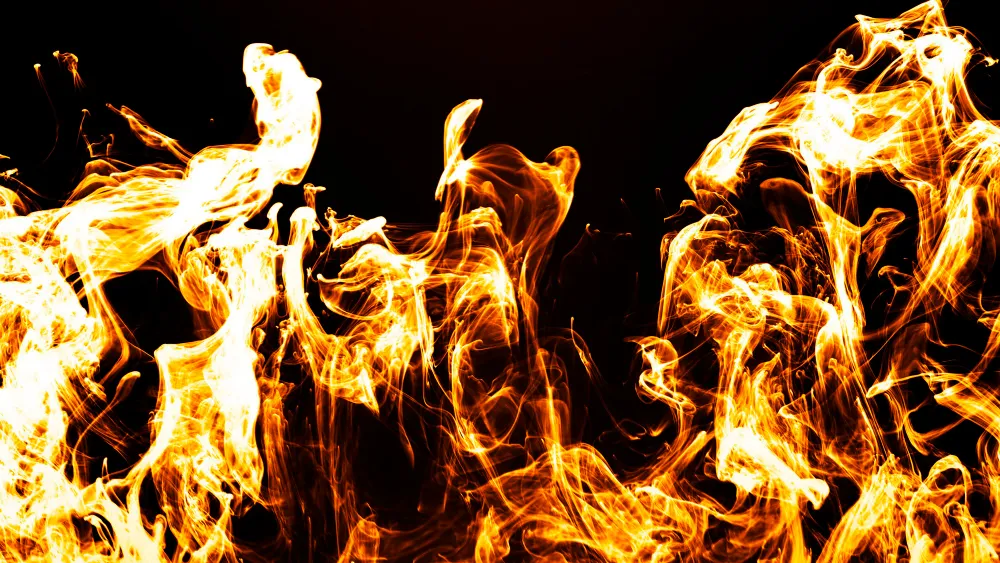 Фото: freepik.com