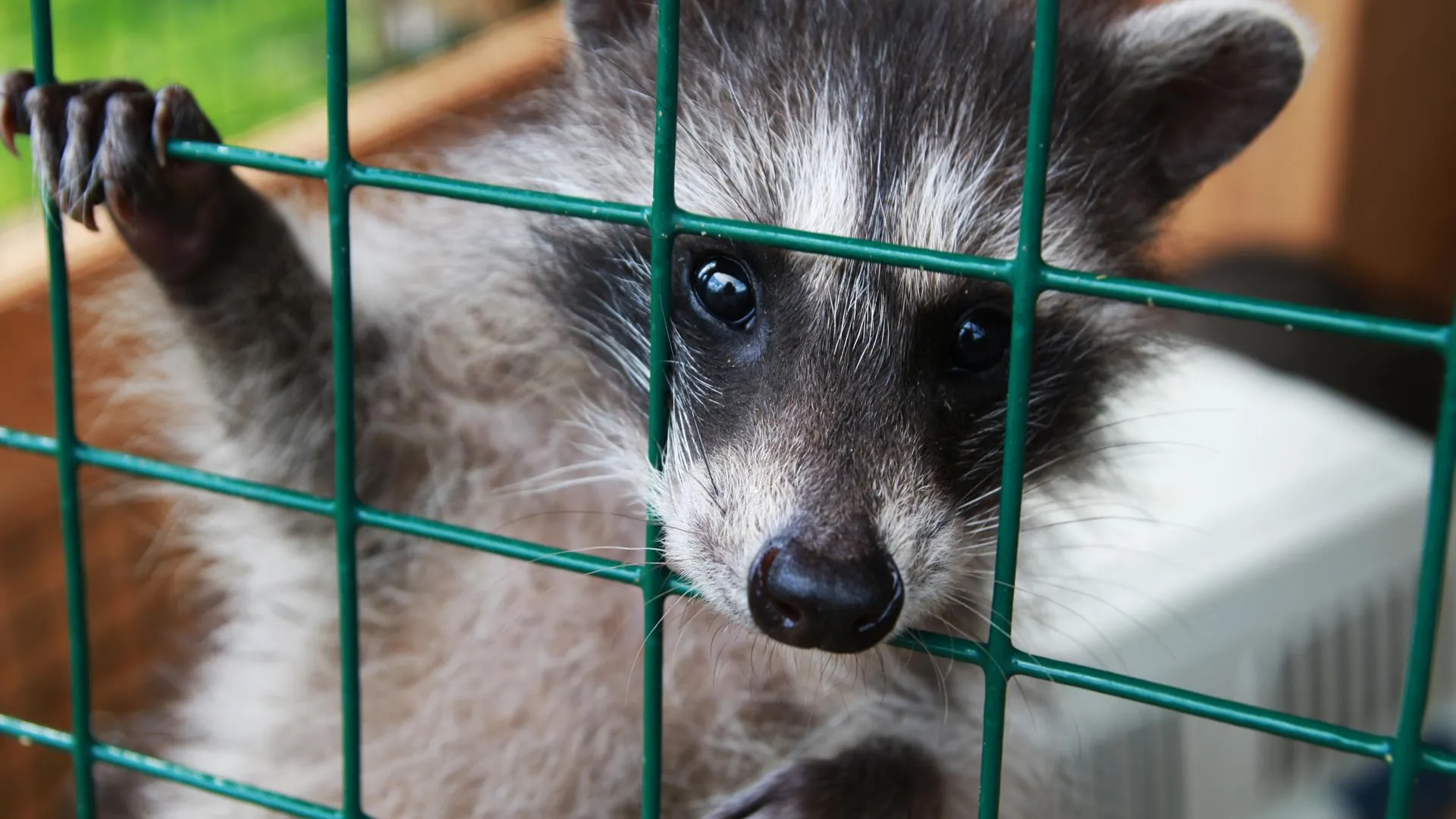 медиасток.рф