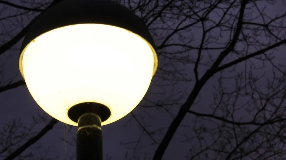 Фото: pxhere.com