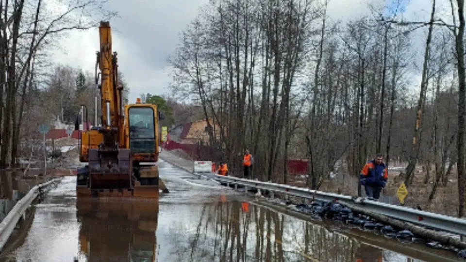 Фото: МедиаБанк Подмосковья/Валерий Гореловский