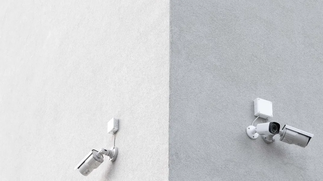 Фото: unsplash.com