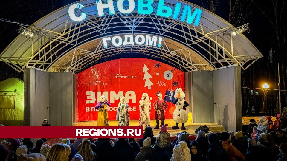 Фото: МедиаБанк Подмосковья/Данила Кирьянов