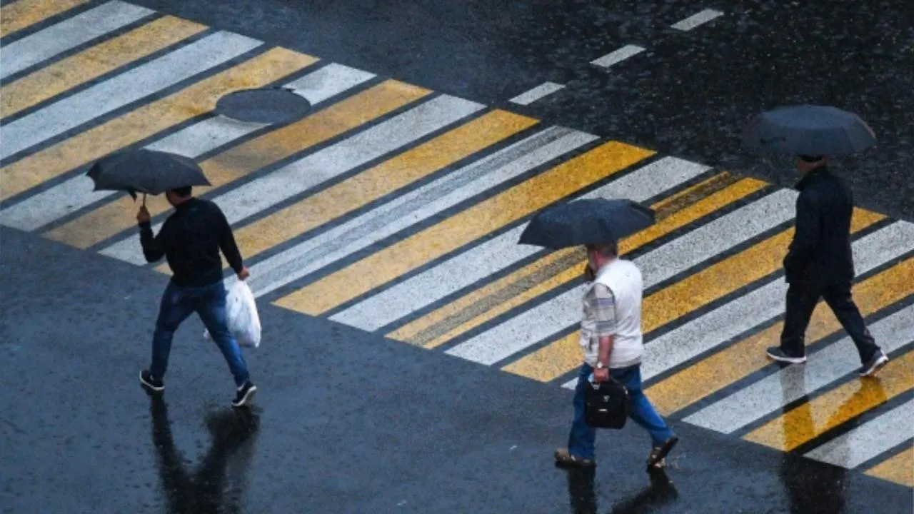 Жителей Подмосковья призывают быть внимательными при переходе дорог