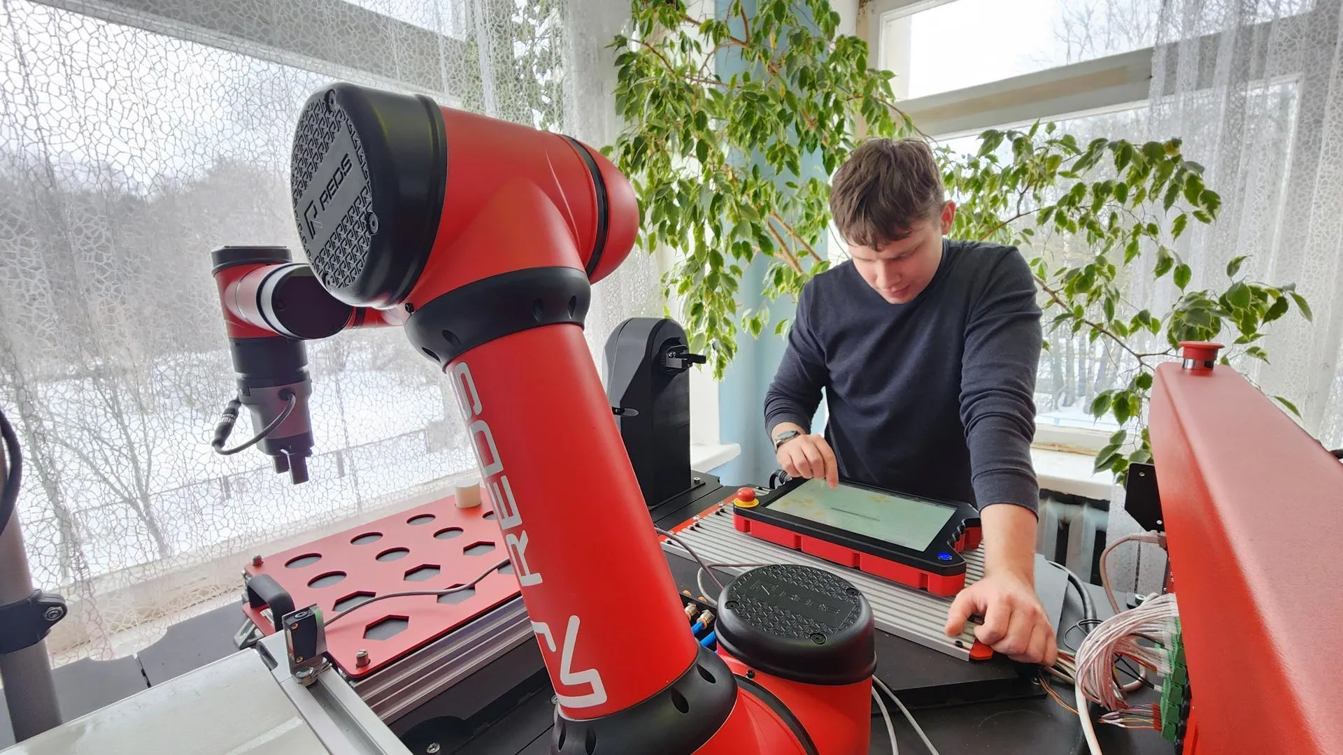 REGIONS/Анна Мороз