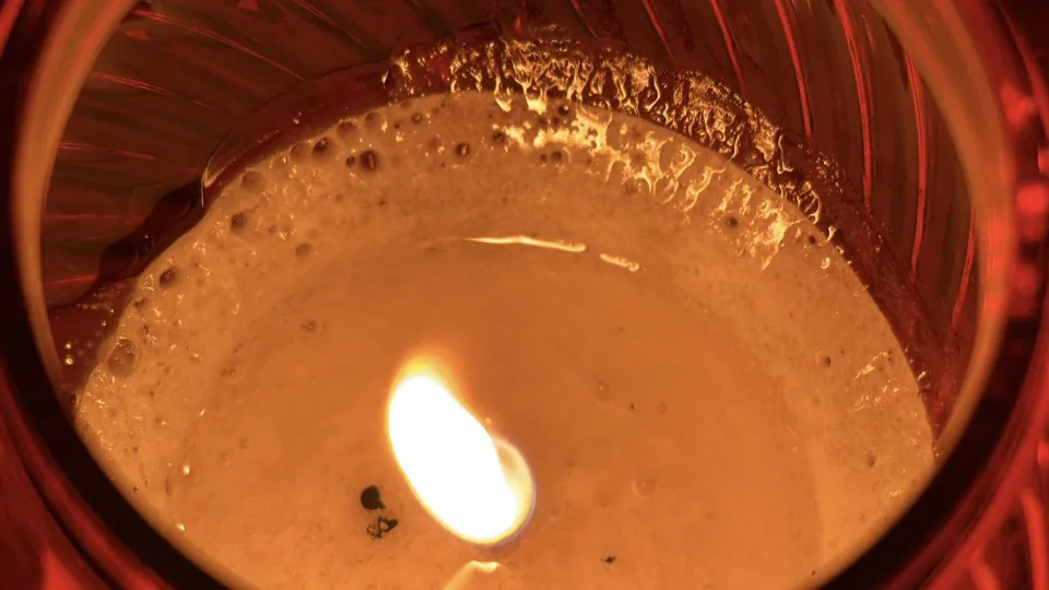 Фото: МедиаБанк Подмосковья/Данила Кирьянов