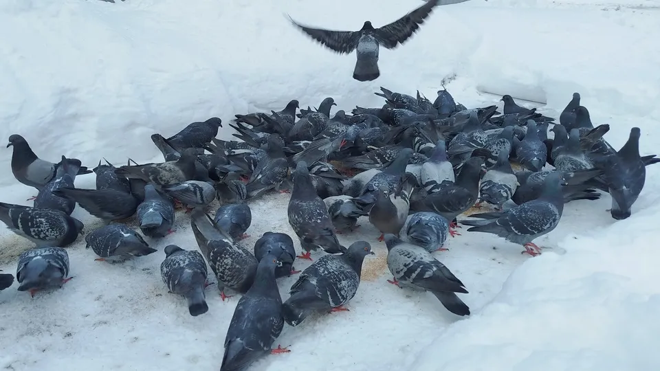 Фото:  REGIONS/Наталья Дорофеева