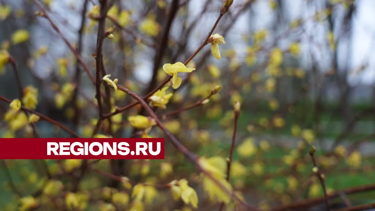 Фото: Дмитрий Зайчиков