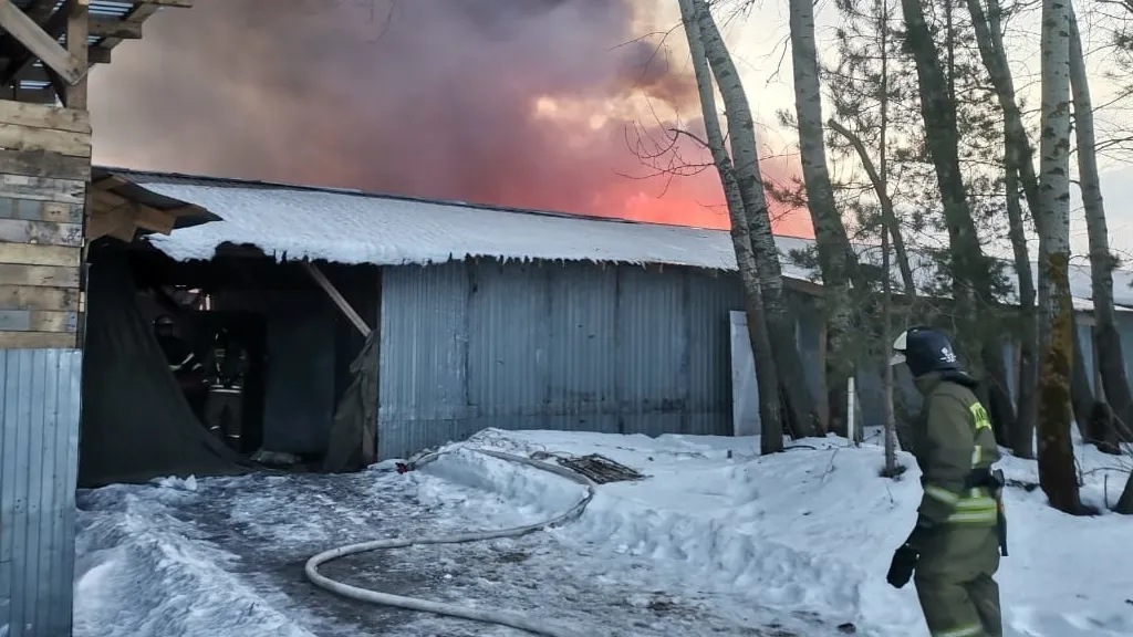 Фото: ГУ МЧС России по Московской области