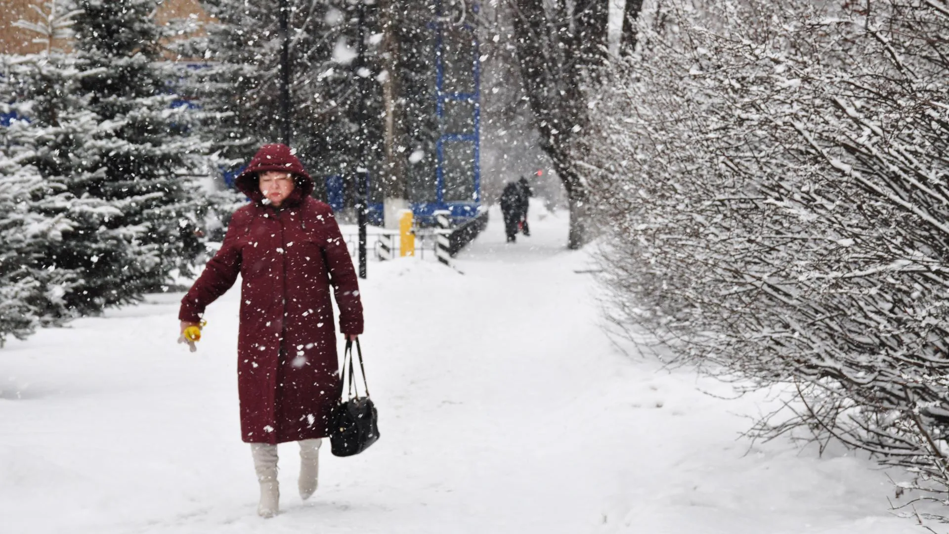 медиасток.рф