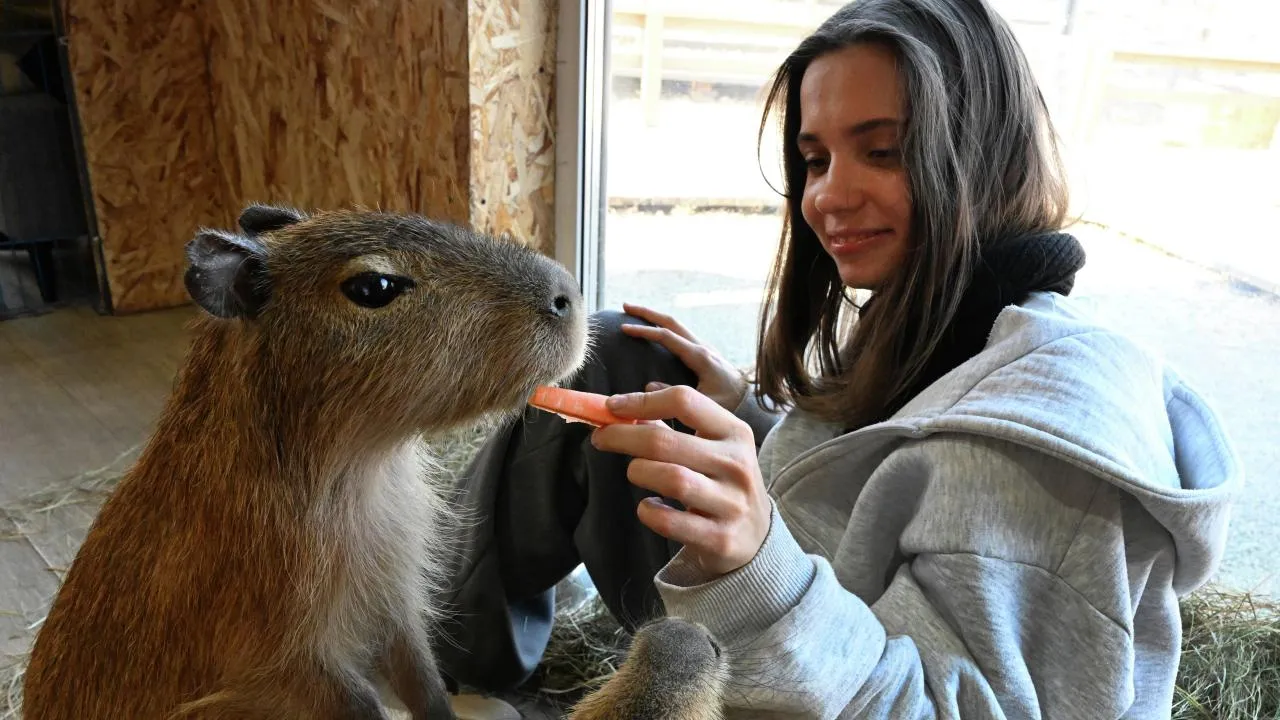 РИА Новости/Виталий Аньков