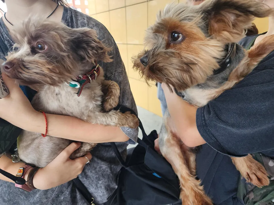 Фото: REGIONS/Наталья Дорошева