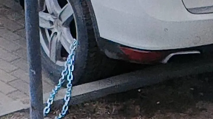 Фото: соцсети