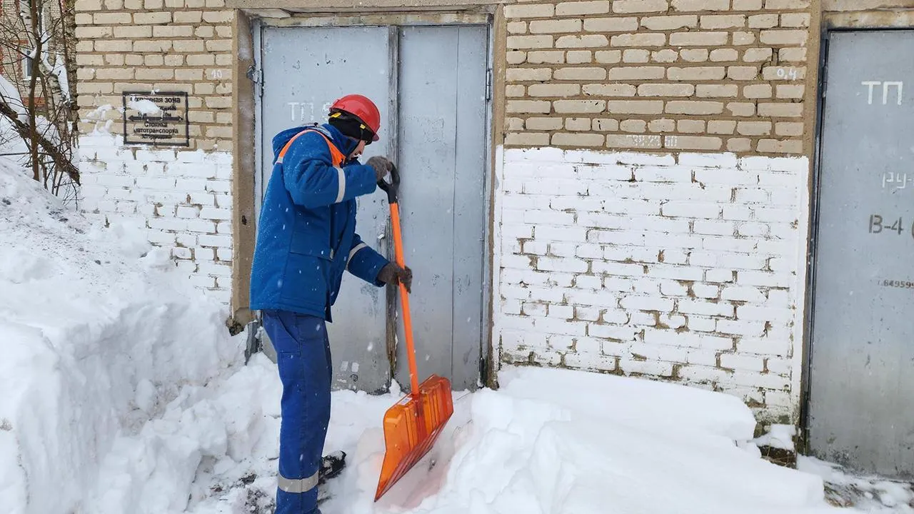 Фото: МедиаБанк Подмосковья/Екатерина Мелкозерова