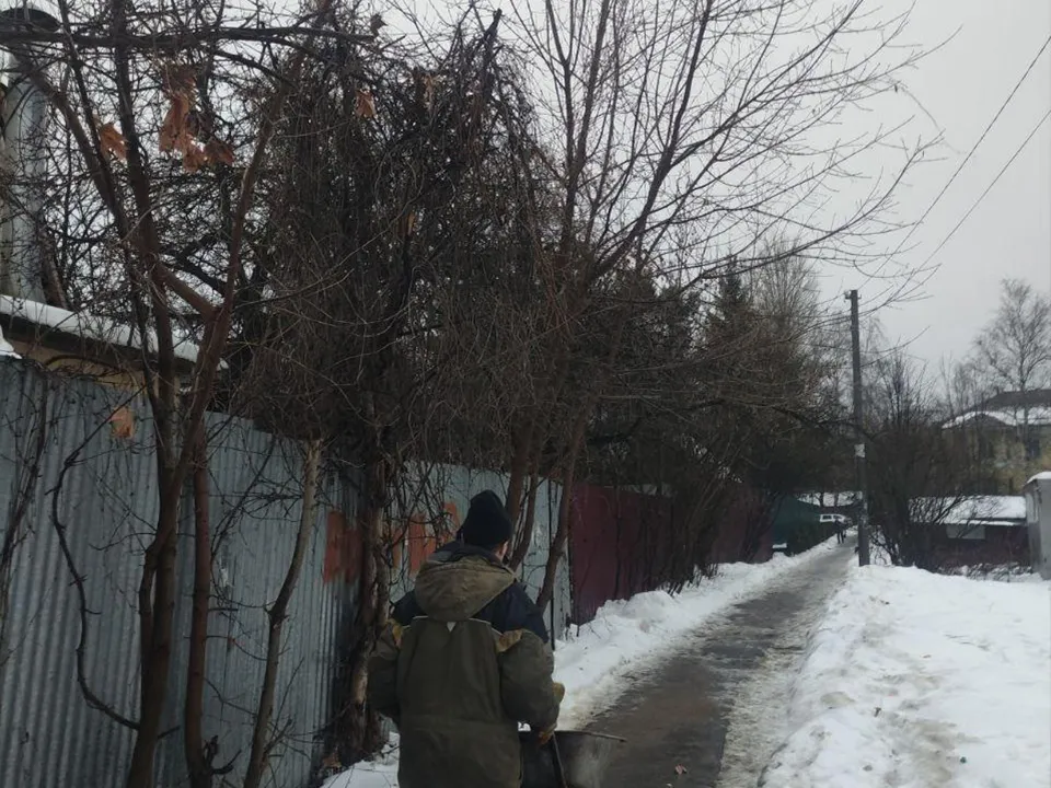 Фото: пресс-служба администрации г.о. Долгопрудный