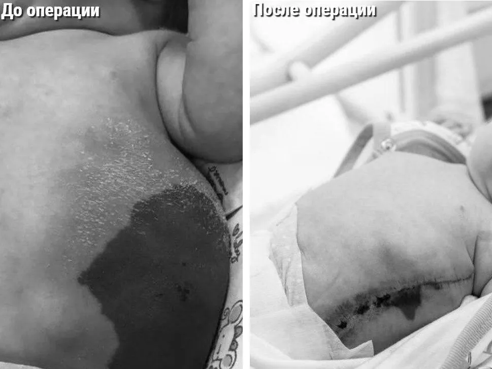 Фото: Министерство здравоохранения Московской области