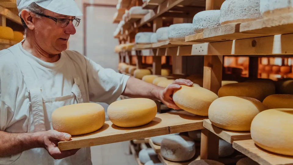 Фото: istockphoto.com/.shock