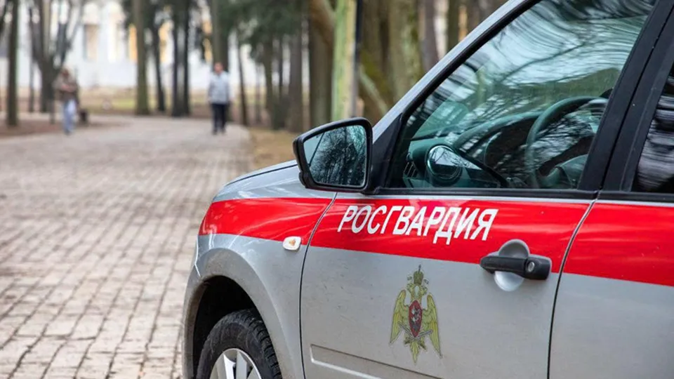 Фото: ГУ Росгвардии по МО