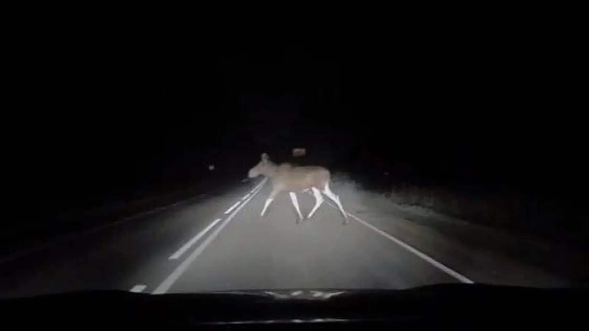 Министерство экологии и природопользования Московской области