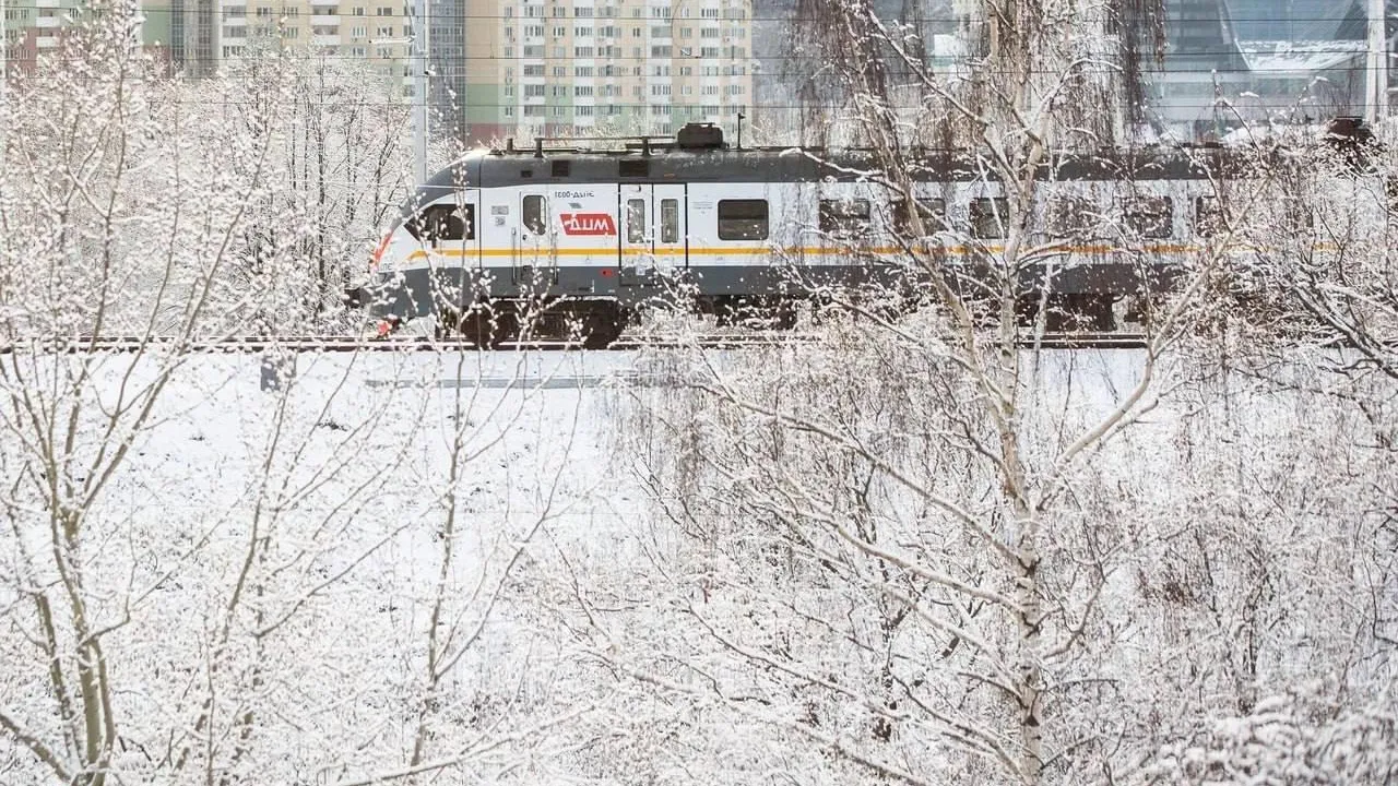 Фото: из архива in-reutov.ru