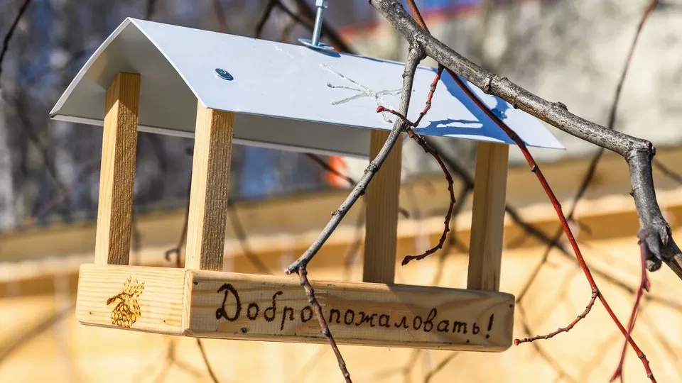 Фото: медиасток.рф