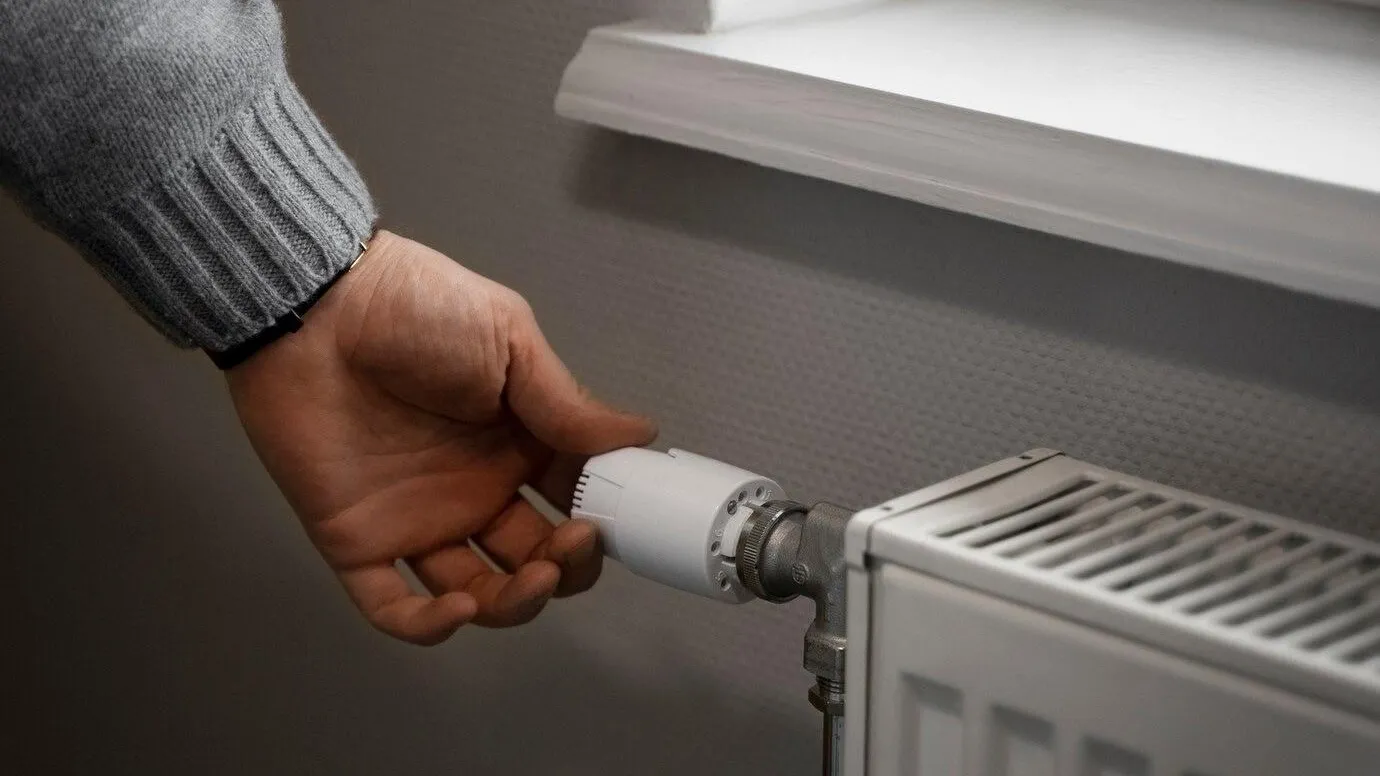 Источник: Freepik