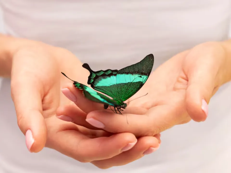 Фото: freepik.com