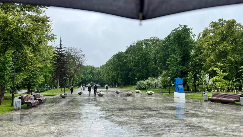 Фото: REGIONS/Елена Фурман