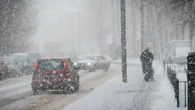 Фото: соцсети