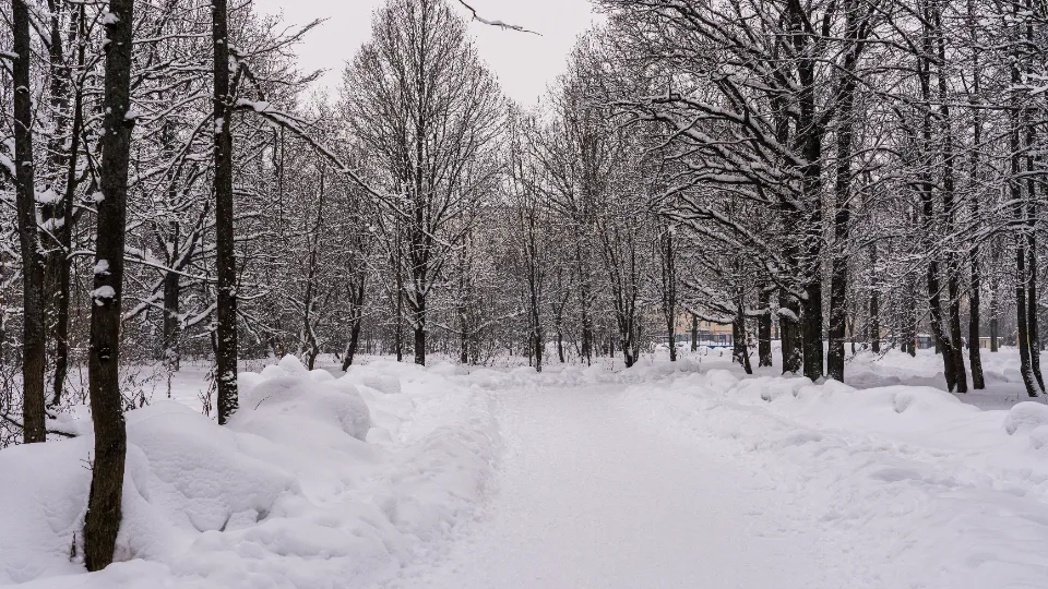 Фото: медиасток.рф