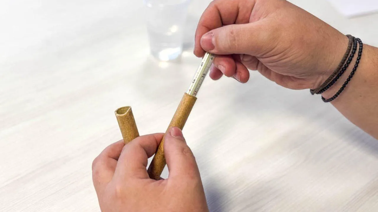 REGIONS/Роман Малышенко